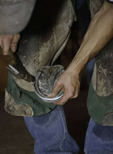 Blacksmith shoeing horse — Stock Photo, Image