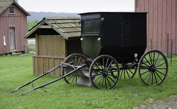 Buggy de cavalo Amish Imagem De Stock