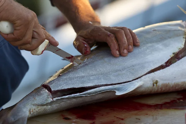 stock image Gutted Fish