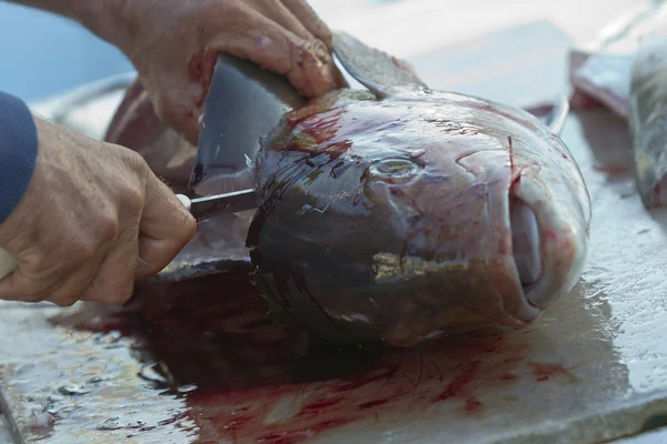 stock image Gutted Fish