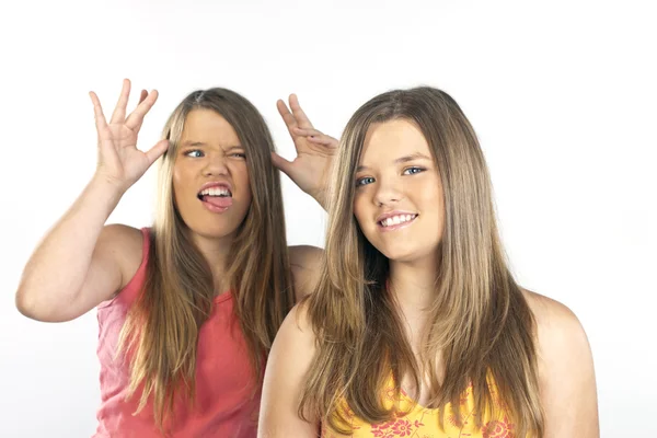 Twin Sisters — Stock Photo, Image