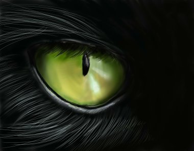 The cat's eye clipart