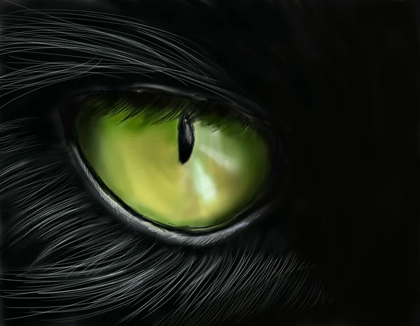 Het oog van de kat — Stockfoto
