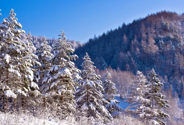 Historia del invierno . — Foto de Stock