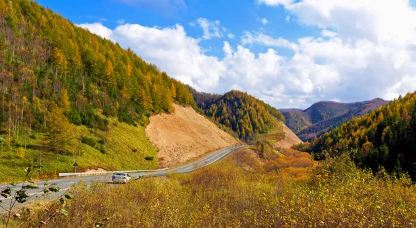 Autumn road. — Stock Photo, Image
