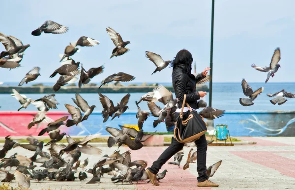 La vengeance des oiseaux . Photo De Stock