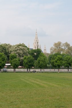 Rathaus (Belediye Binası) şehir Viyana, Avusturya