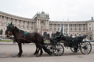 Kale hofburg yakın siyah at arabası. Avusturya