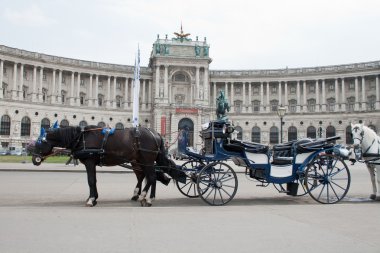 Avusturya. Kale hofburg yakınındaki mavi taşıma