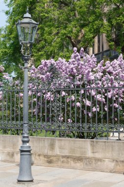 straat lamp in dresden. Duitsland