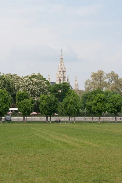 Rathaus (stadshuset) i centrala Wien, Österrike — Stockfoto