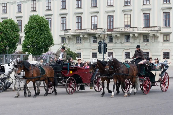 stock image The carriage on the streets of Vienna