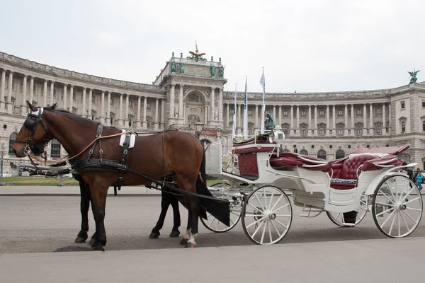 White carriage near the castle Hofburg — Stock Photo, Image