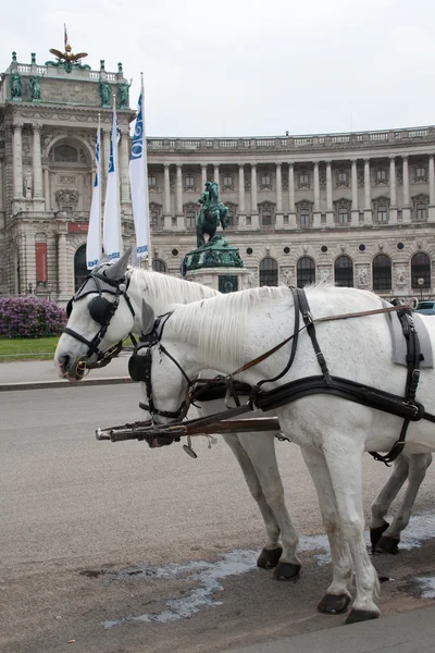 Traditional horse coach Fiaker in Vienna. — Stock Photo, Image