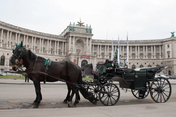 Carrozza nera vicino al castello Hofburg. Austria Foto Stock Royalty Free