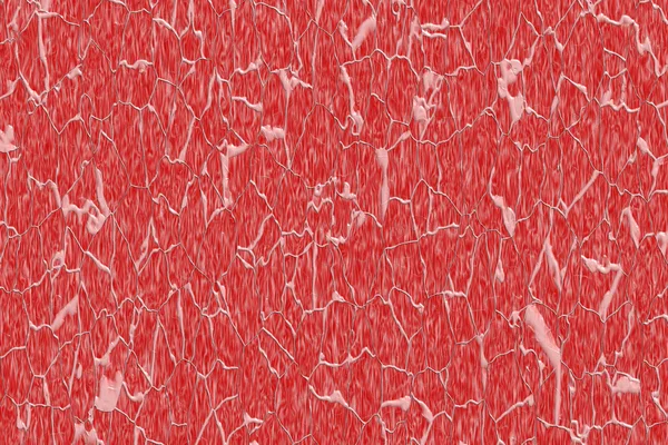 The texture of the muscle fiber — Stock Photo, Image