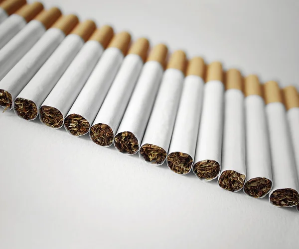 Fila de cigarrillos — Foto de Stock
