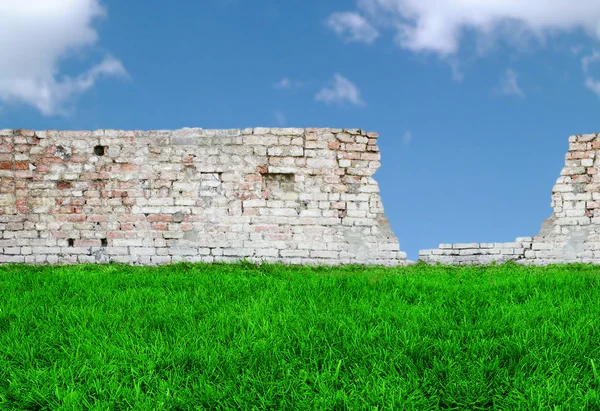 Trawa, mur z cegły i niebo — Zdjęcie stockowe