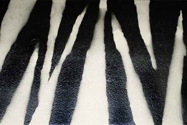 Zebra Texture — Stock Photo, Image