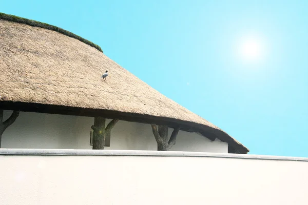 Afrikaanse rieten dak — Stockfoto