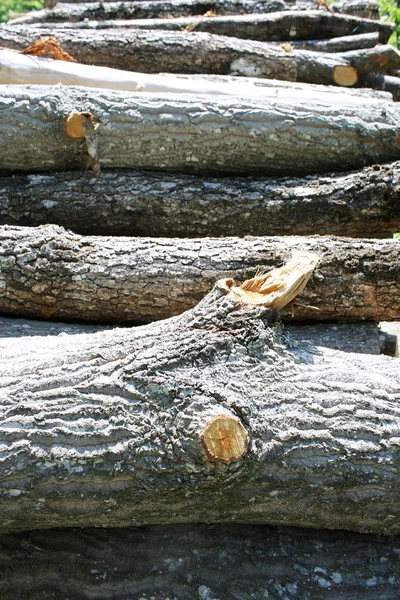 Woodpile — Φωτογραφία Αρχείου