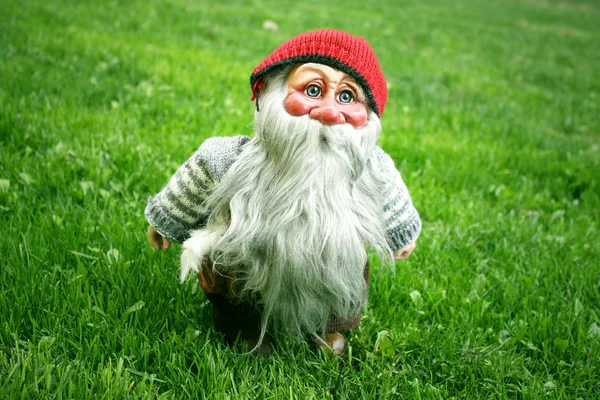 Gnome standing on the grass — Stock Photo, Image
