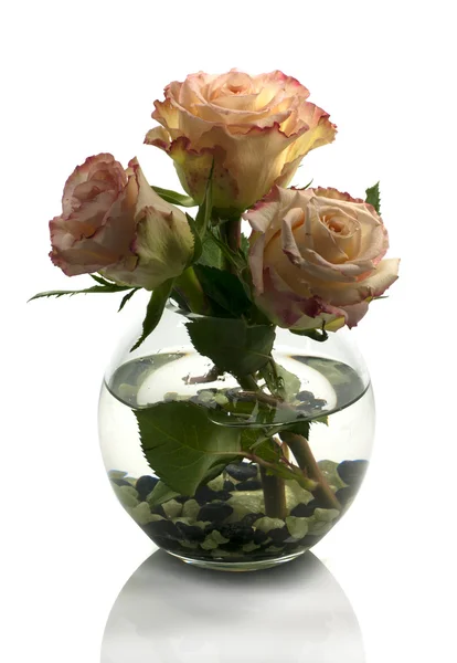 花瓶与橙色玫瑰 — 图库照片