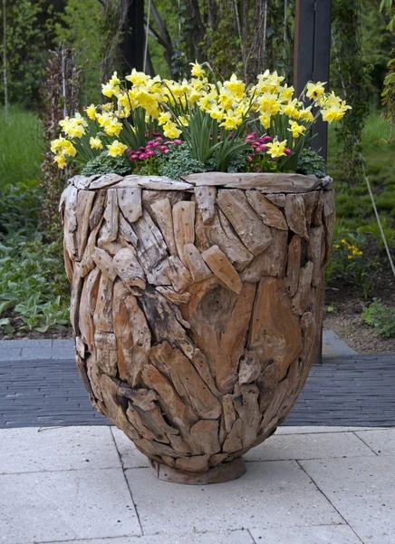 Vase en bois avec narcisse jaune — Photo