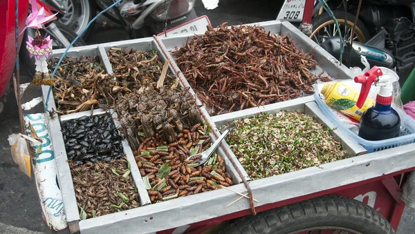 Tay böcekler yiyecekThaise insecten eten — Stok fotoğraf