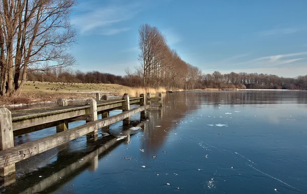 Vinter i holland — Stockfoto