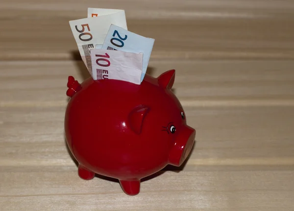 Cochon d'argent avec euros — Photo
