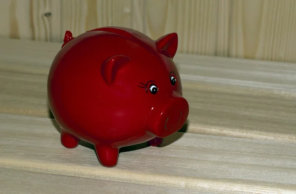 钱猪 — 图库照片