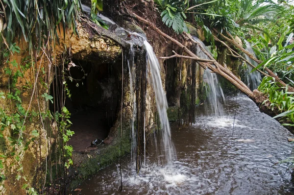 Cachoeira — Fotografia de Stock