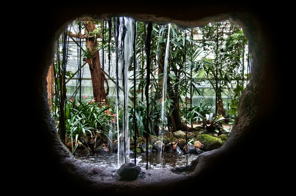 stock image View behind the waterfall