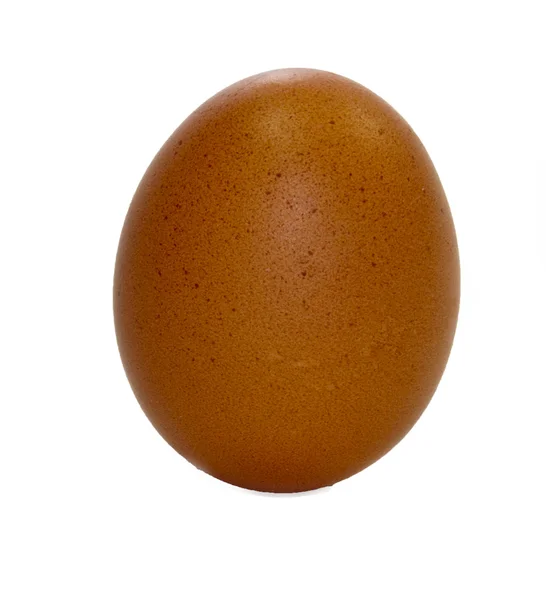 Αυγό σε απομονωμένες λευκό — Φωτογραφία Αρχείου