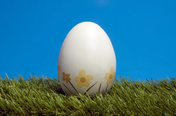 Äter ägg på blå bakgrund — Stockfoto
