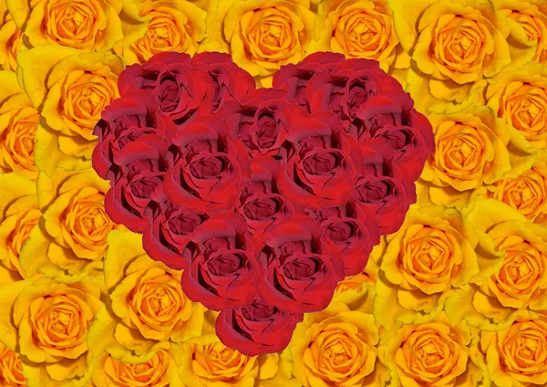 Herz aus Rosen. — Stockfoto