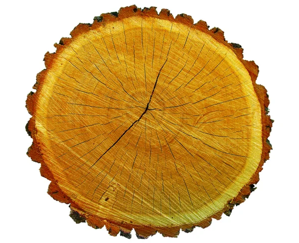 Drewniane wyciąć pokryte pęknięcia — Zdjęcie stockowe