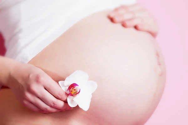 Mujer embarazada con flor de orquídea en la mano — Foto de Stock