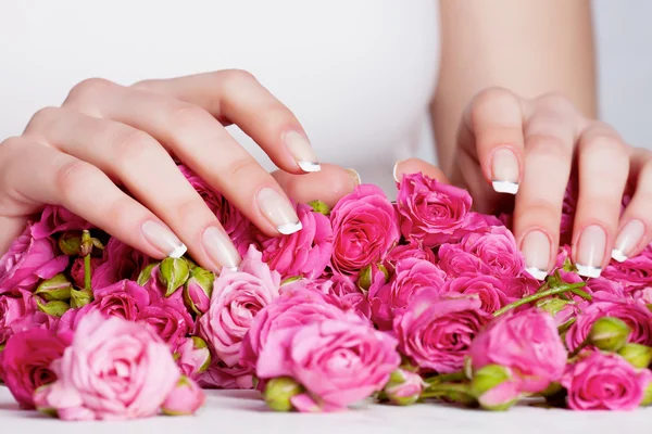 Manicure on the roses — Stock Photo, Image