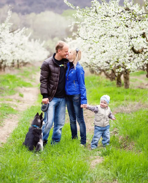 Семья в цветущем саду — стоковое фото