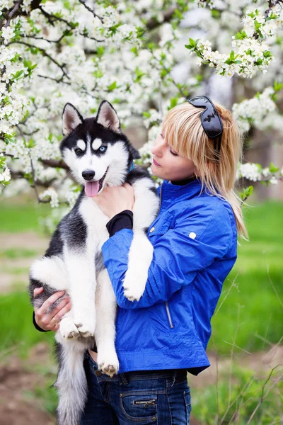 Vrouw met puppy husky — Stockfoto