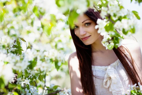 Brunette meisje in bloesem tuin — Stockfoto