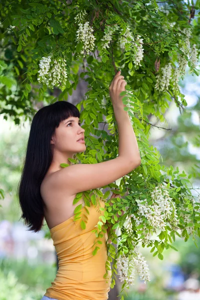 여자 꽃 아카시아 나무 근처 — 스톡 사진
