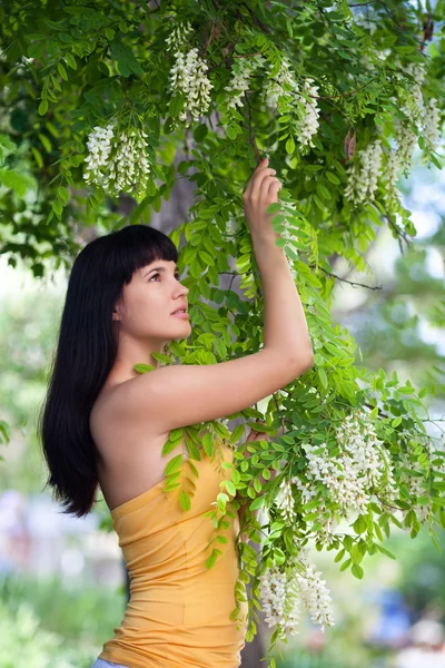 Girl near blossom acacia tree — Stock Photo, Image