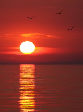 Karadeniz 'de gün batımı