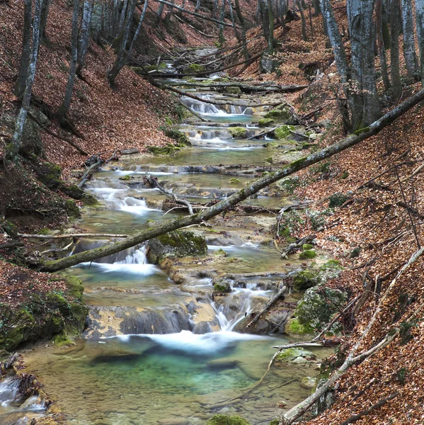 Herfst bos stream — Stockfoto