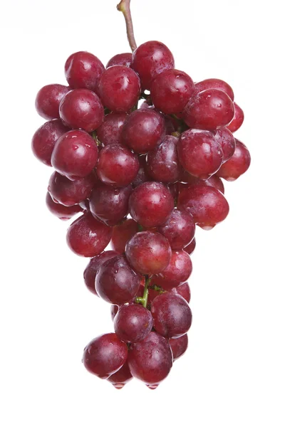 stock image Grapes