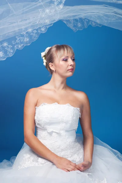 Bride on blue — Stock Photo, Image