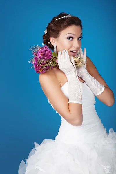 Brunette bride Royalty Free Stock Images